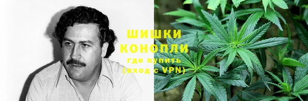 гидра Верея