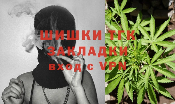 гидра Верея