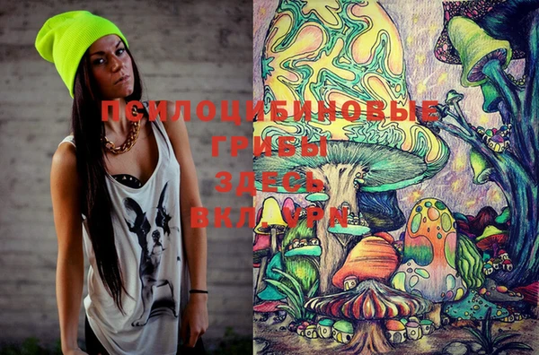 PSILOCYBIN Верхнеуральск