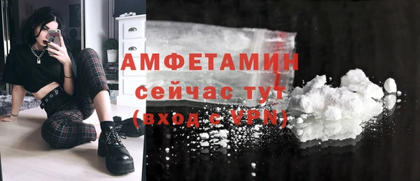гидра Верея